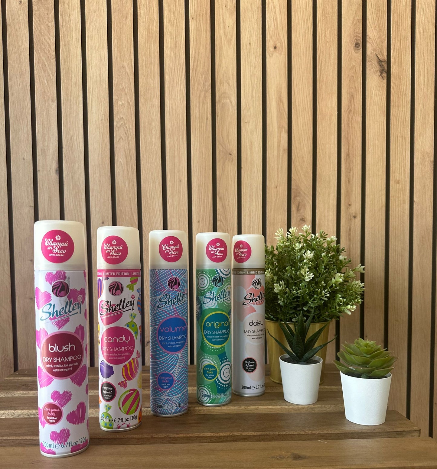 CHAMPÚ EN SECO